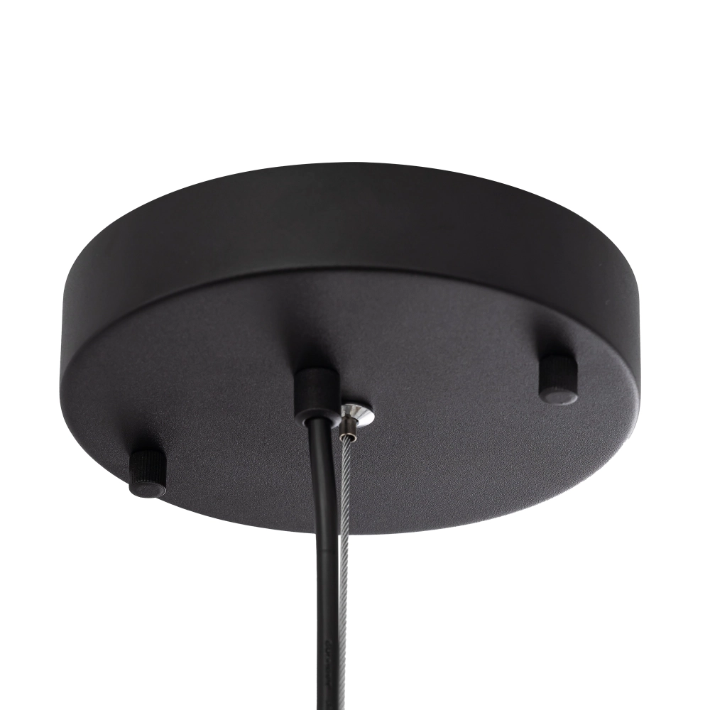 Подвесной светодиодный светильник Citilux Floom CL736251