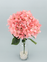 Букет Бугенвиллея