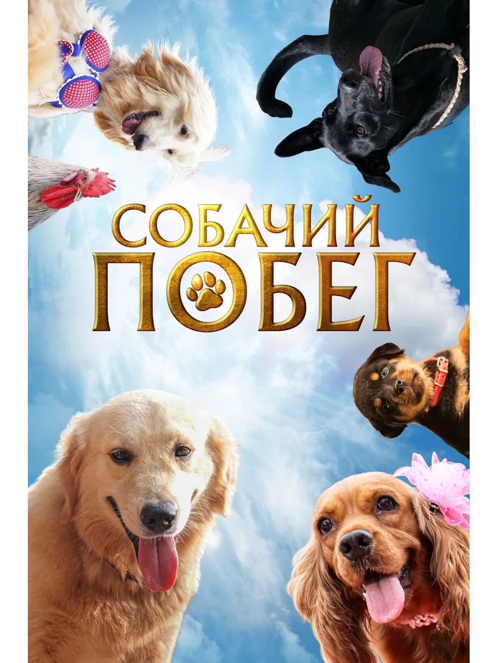 Собачий побег (2023) (DVD-R)