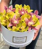 Орхидеи в коробке Maison Des Fleurs