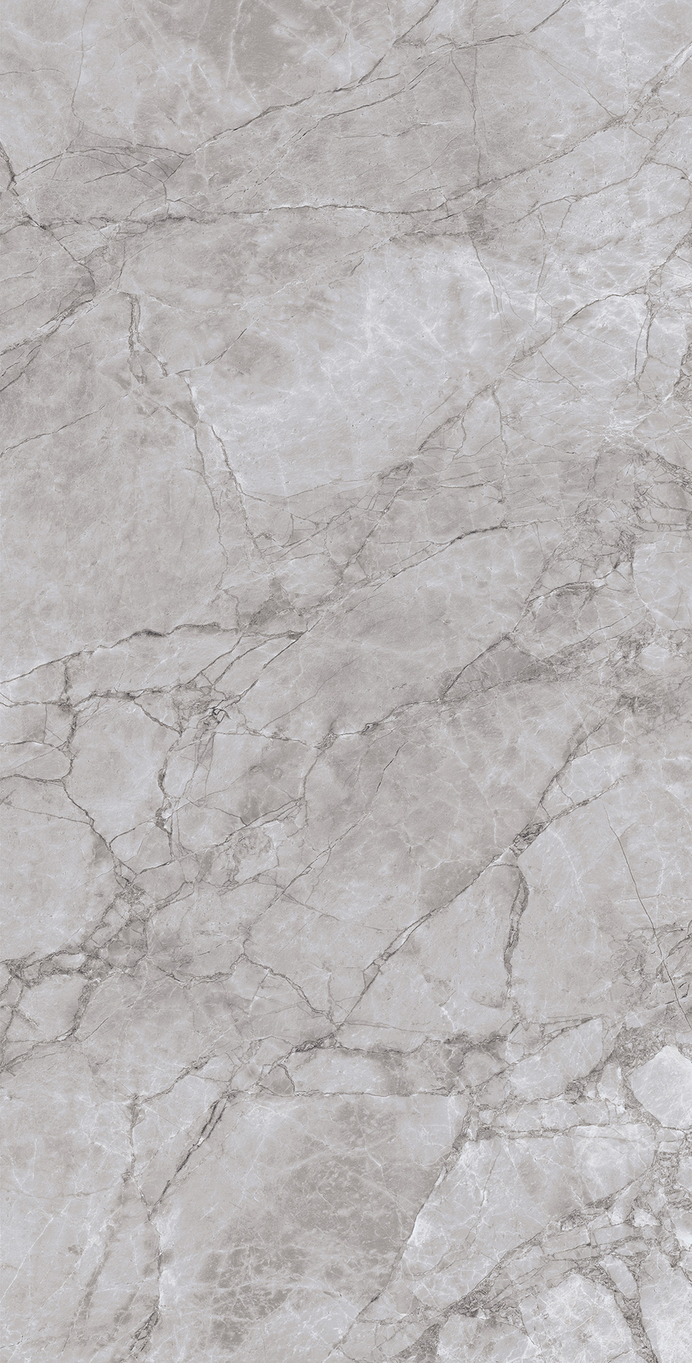 Керамогранит, Arcadia Ceramica, ARCTIC GREY LAPPATO, 1200x600 мм, лаппатированная