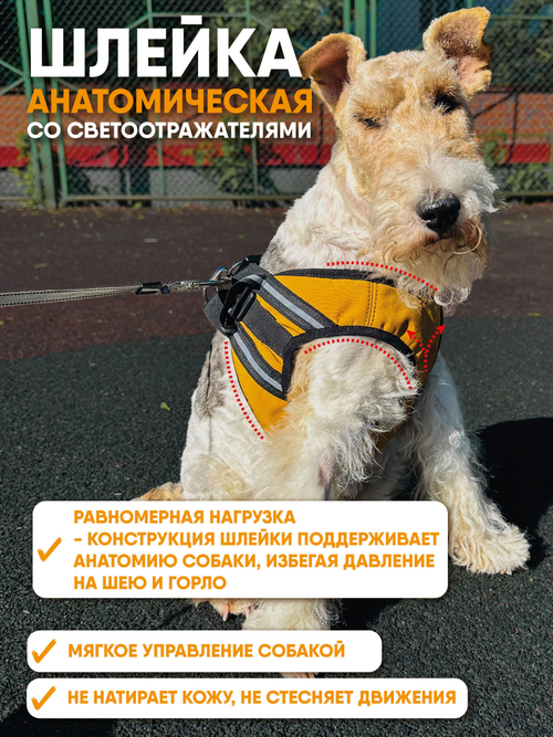 Шлейка для собак из софтшелла, горчичный, размер М