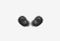 JBLWBUDS2BLK_0226522102250