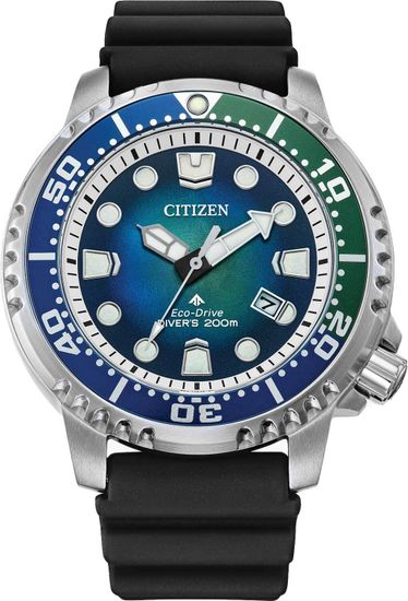 Наручные часы Citizen BN0166-01L