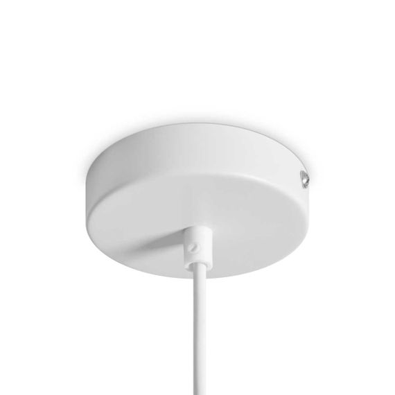 Подвесной светильник Freya Modern FR5530PL-L10W