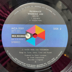 Винтажная виниловая пластинка LP Wishbone Ash Pilgrimage (Japan 1980) (No Obi)