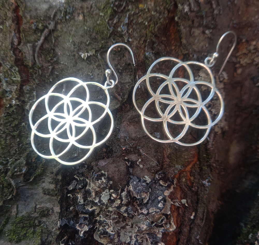 Серьги СЕМЯ ЖИЗНИ, серебро