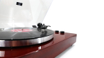 Music Public Kingdom TT53AT Red Wood