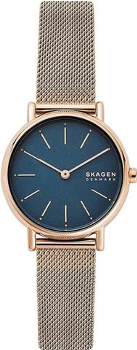 Женские наручные часы Skagen SKW2837