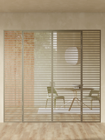 Minoli 12