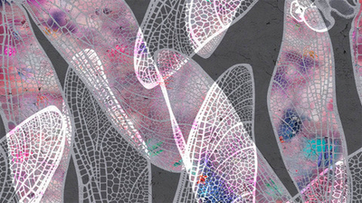 Дизайнерские обои Wall Street Wonderland