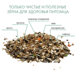 FIORY корм для средних попугаев Classic 2,6 кг