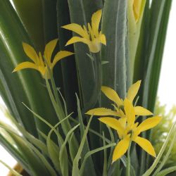 GAEM Цветочная композиция "Крокусы", L12 W10 H22 см