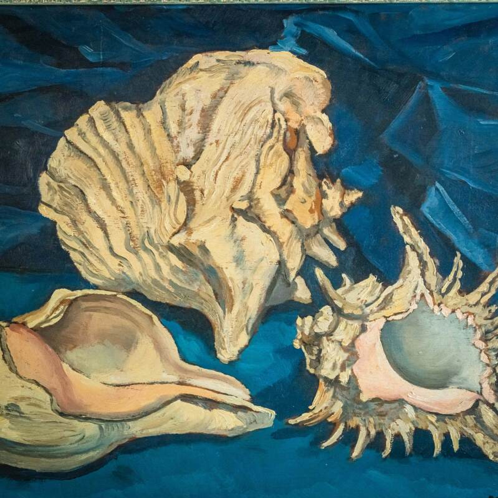 Натюрморт «Память о море»