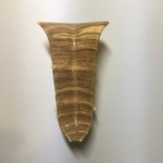 Внутр. угол к плинтусу "LIDER-62" 336 Дуб янтарный