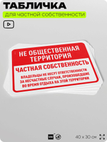 Табличка для частной территории "Не общественная территория, частная собственность", на дом, для участка, организаций, предупреждающая, 40х30 см, Silver Plane x Айдентика Технолоджи