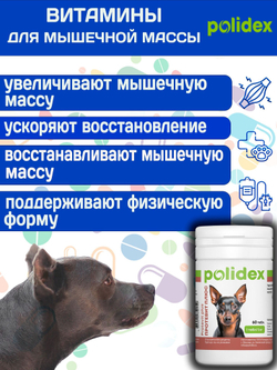 Polidex Protevit Plus для собак, Кормовая добавка для увеличения мышечной массы, Полидек Протевит Плюс, 150 таб