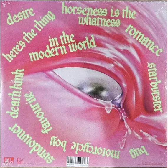 Fontaines D.C. Romance LP