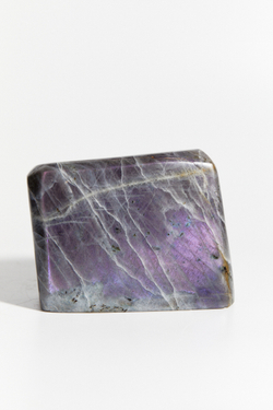 Срез Лабрадора L