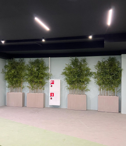 Бамбук ветка 120 см