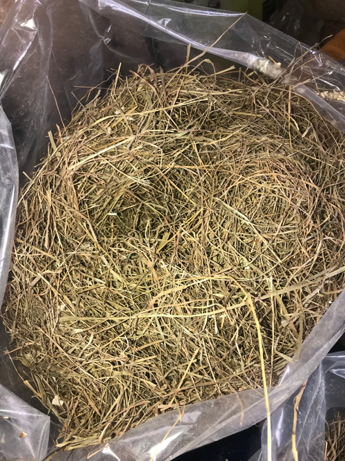 Сено луговое разнотравье 12 кг в пакете (без верёвок) Самовывоз Софийская Д.93 А
