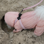 001 Поводок к шлейкам 003/004 SSOOOK