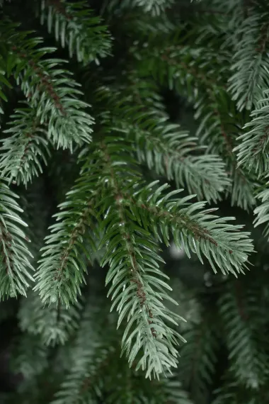 Искусственная елка Архангельская 120 см., 100% литая хвоя, ЕлкиТорг (191120)