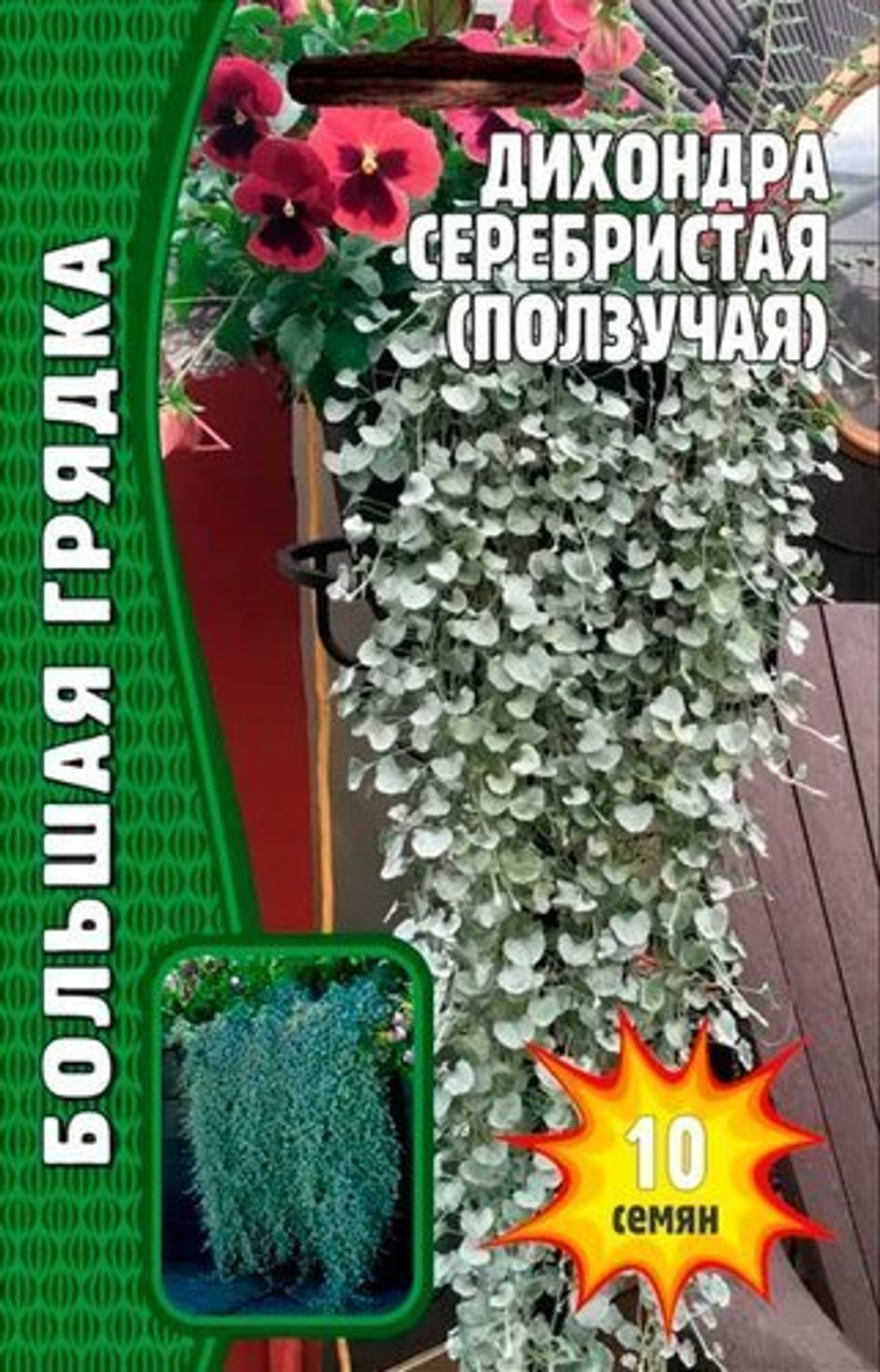 Дихондра серебристая ( ползучая)