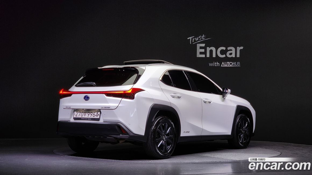 Lexus UX250h 2.0 2WD (01.2021)