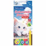 Карандаши цветные "АССОРТИ 8 ДИЗАЙНОВ 3+ лет", 12 цветов, трехгранные, BRAUBERG, 182055