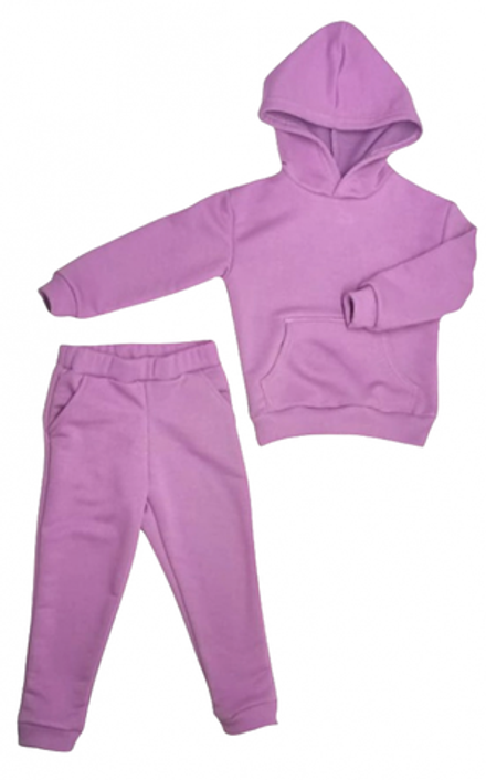 Спортивный костюм 0313/16 фиолетовый, без начеса