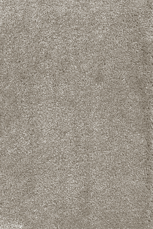 Ковровое покрытие AW Leda 47