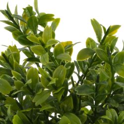 GAEM Цветочная композиция, L9,5 W9,5 H23 см