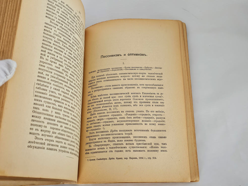 "Этюды оптимизма : С портр. автора и 27 рис". 1917г.