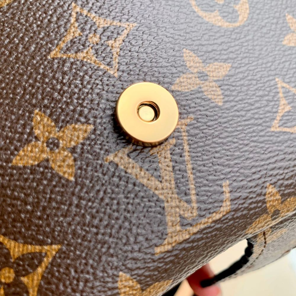 Louis Vuitton Ivy Wallet On Chain Bag