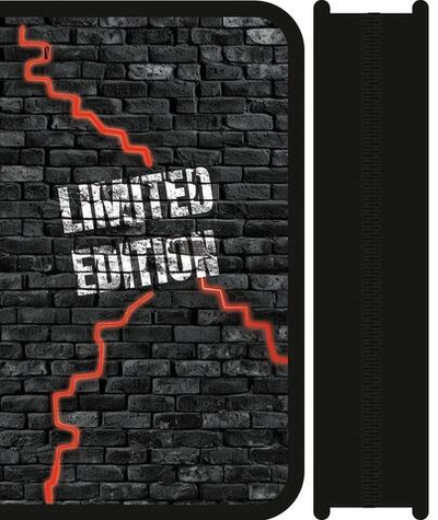 Пенал 1 секц. большой 190/115 "Limited edition 2025"