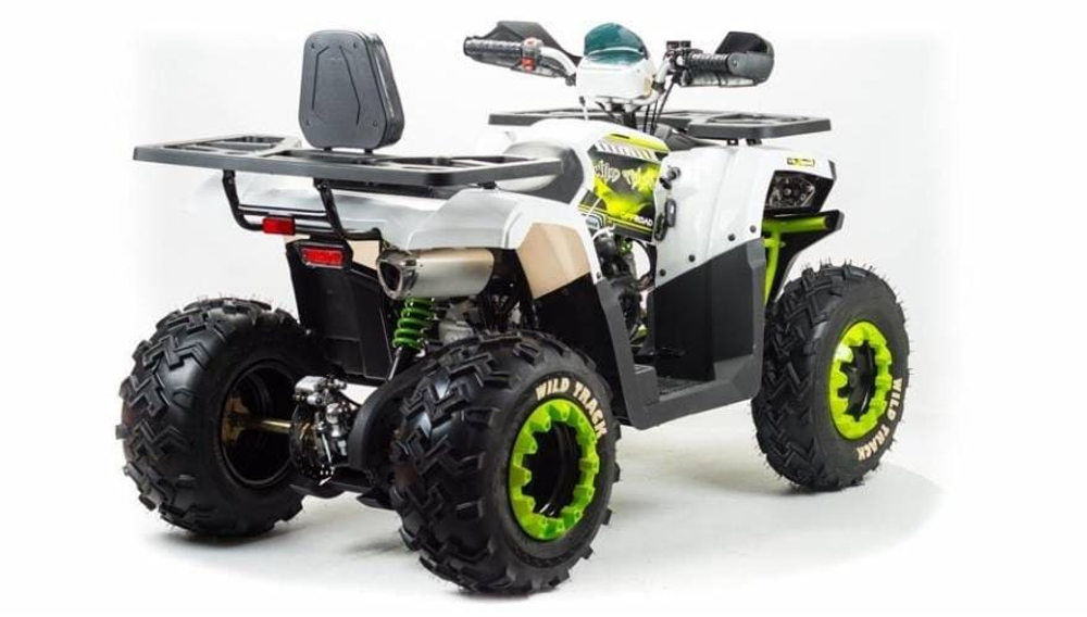 Квадроцикл MOTOLAND 200 Wild Track Lux ( Баланс. вал) (2021 Г.)