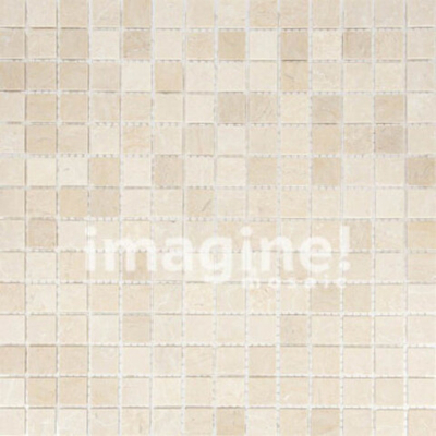 Мозаика SBW9204Р (20x20)