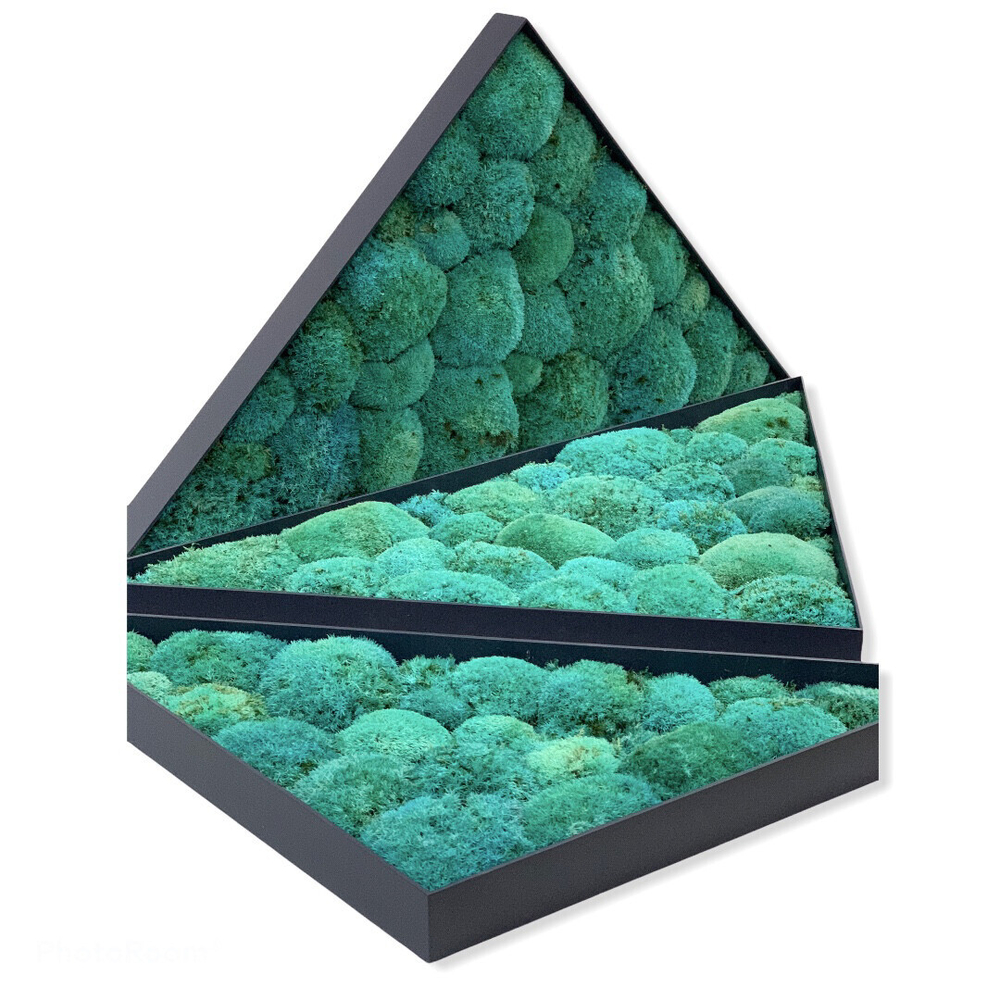 Мох кочкообразный бирюза EF