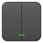 BLANCA О/У 2-клавишный ВЫКЛЮЧАТЕЛЬ (сх.5) с подсветкой, ИЗОЛ.ПЛ, 10А, 250В, АНТРАЦИТ