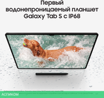 Планшет Samsung Galaxy Tab S9 12/256Gb LTE Gray (SM-X716BZAECAU)