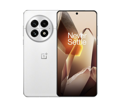 OnePlus 13 16/512Gb Arctic Dawn IN