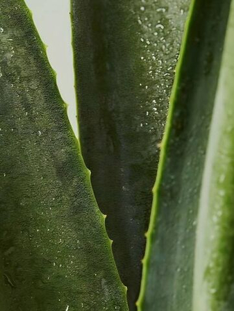 «Натуральный состав» — что это значит на самом деле