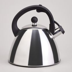 ЧАЙНИК СО СВИСТКОМ И МЕРНОЙ ШКАЛОЙ, 3,2Л