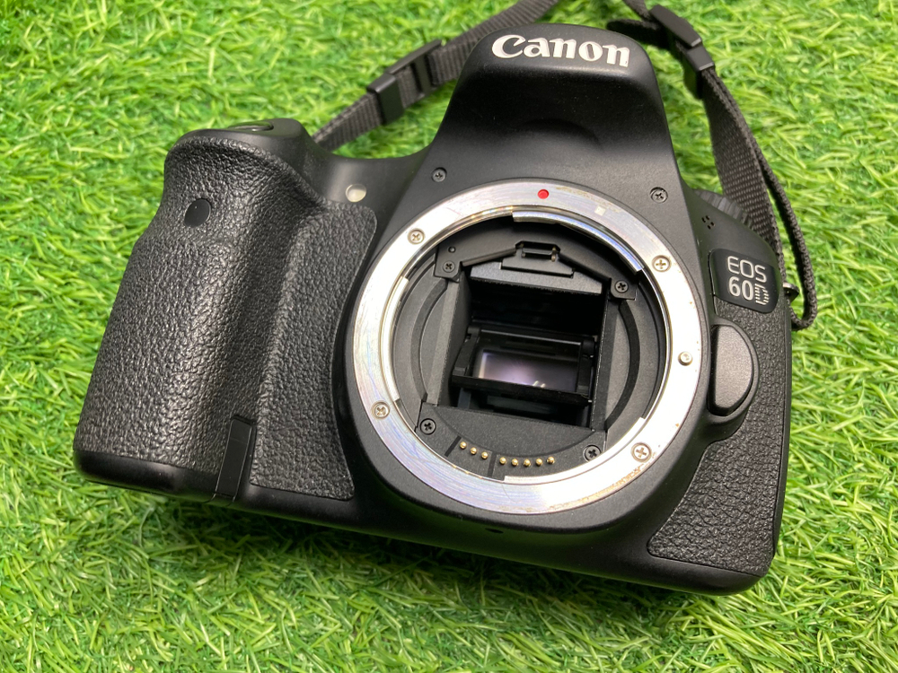 Canon EOS 60D 39.300 кадров