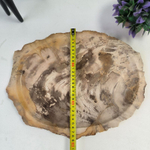 Набор из окаменелого дерева 4 предм Fossil Set NF-62871 поднос 29см*36см