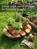 Подставка для цветов, 30х30х7, Флорэль, круглая на колесиках, этажерка, напольное, на подоконник, полка, из массива дерева, рустик