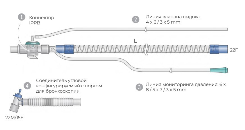 Контуры IPPB гладкоствольные взрослые, ø 22 мм (Длина контура, L: 180 см, Упаковка (инд./тр.): 1/50)