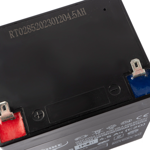 Аккумулятор RuTrike 6-GFM-4,5 (AGM)