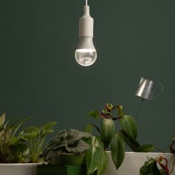 Фитолампа для растений светодиодная ЭРА GREEN LINE ФИТО A65-20W-PFR-E27-GR полного спектра 20 Вт Е27 | Фитолампы Е27